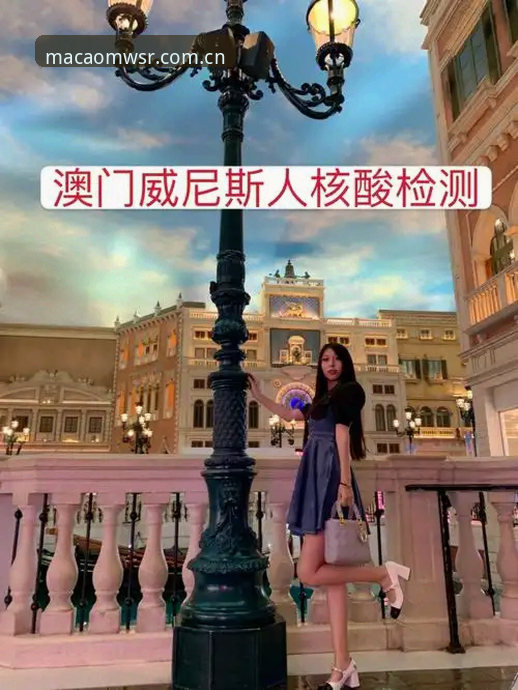 澳门威斯人公平吗使用指南 澳门威斯人公平吗使用指南:从入门到精通的完整解析